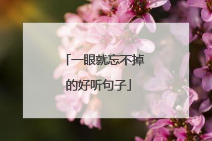 一眼就忘不掉的好听句子