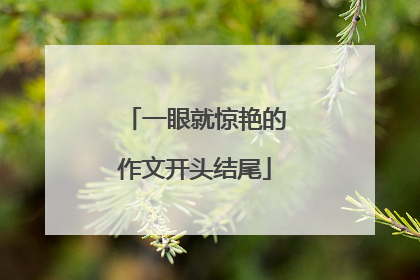 一眼就惊艳的作文开头结尾