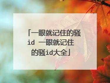 一眼就记住的骚id 一眼就记住的骚id大全