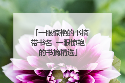 一眼惊艳的书摘带书名 一眼惊艳的书摘精选