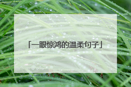 一眼惊鸿的温柔句子