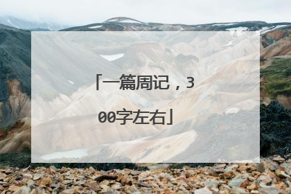 一篇周记,300字左右