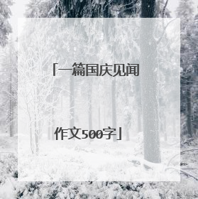 一篇国庆见闻作文500字