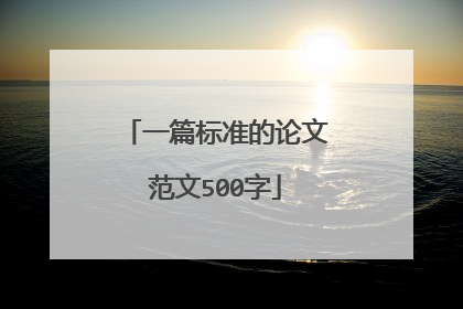 一篇标准的论文范文500字