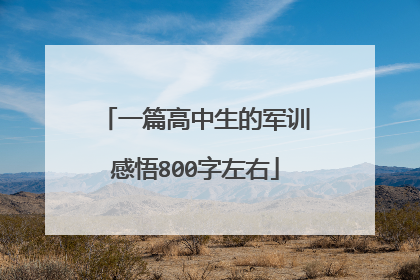 一篇高中生的军训感悟800字左右