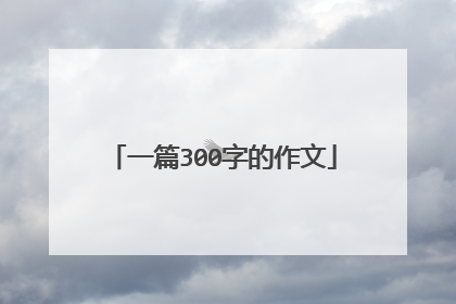 一篇300字的作文
