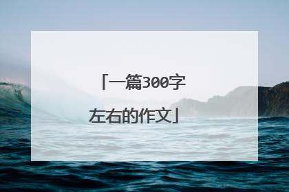 一篇300字左右的作文