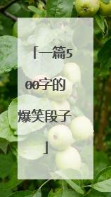 一篇500字的爆笑段子
