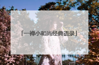 一禅小和尚经典语录