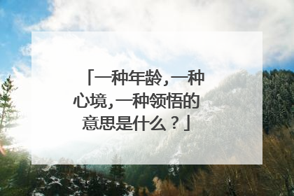 一种年龄,一种心境,一种领悟的意思是什么?