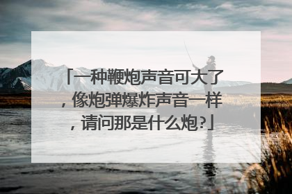 一种鞭炮声音可大了，像炮弹爆炸声音一样，请问那是什么炮?