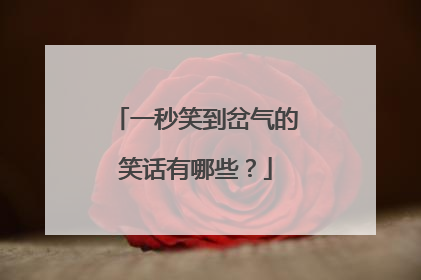 一秒笑到岔气的笑话有哪些?