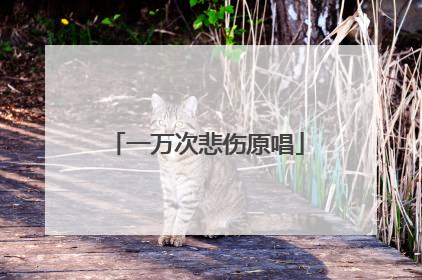一万次悲伤原唱