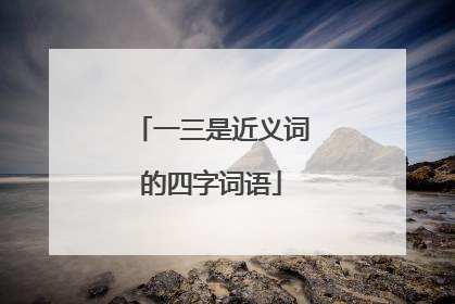 一三是近义词的四字词语