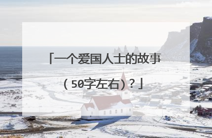 一个爱国人士的故事(50字左右)?