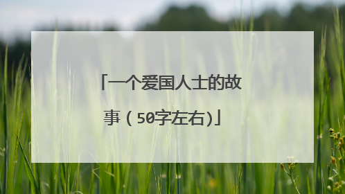 一个爱国人士的故事(50字左右)
