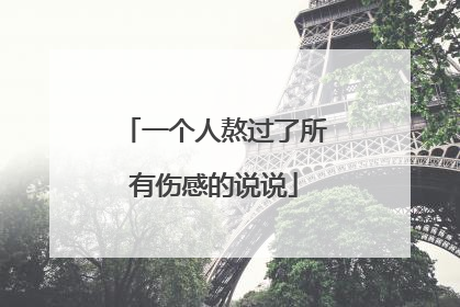 一个人熬过了所有伤感的说说