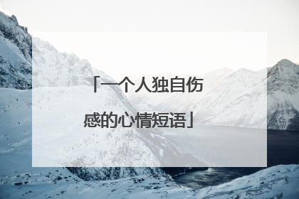 一个人独自伤感的心情短语