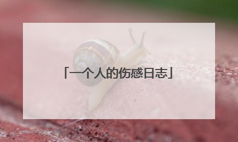 一个人的伤感日志