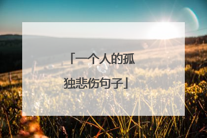 一个人的孤独悲伤句子