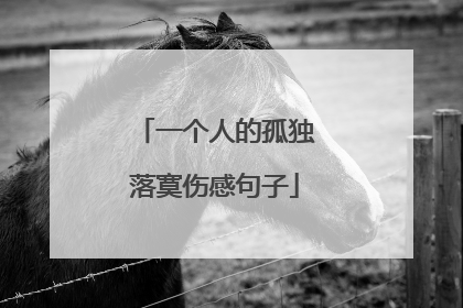 一个人的孤独落寞伤感句子