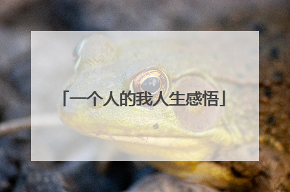 一个人的我人生感悟
