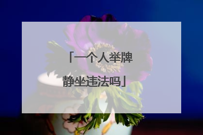 一个人举牌静坐违法吗