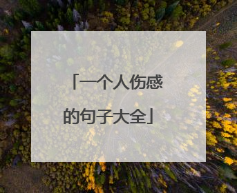 一个人伤感的句子大全