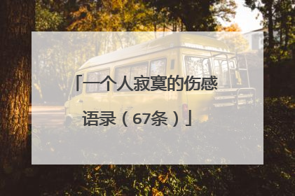 一个人寂寞的伤感语录(67条)