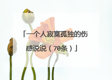 一个人寂寞孤独的伤感说说(70条)