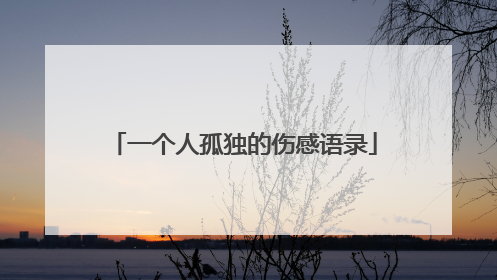 一个人孤独的伤感语录