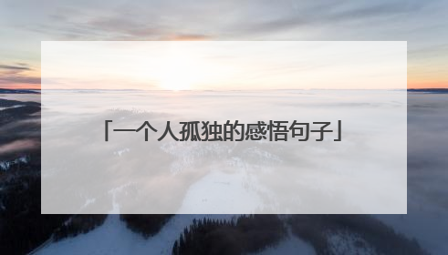 一个人孤独的感悟句子