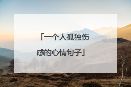 一个人孤独伤感的心情句子