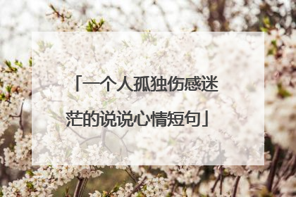 一个人孤独伤感迷茫的说说心情短句