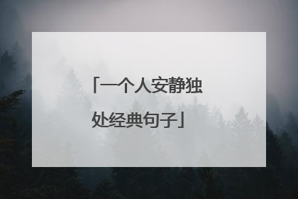一个人安静独处经典句子