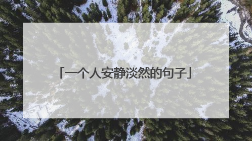 一个人安静淡然的句子