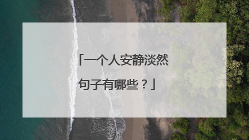 一个人安静淡然句子有哪些?
