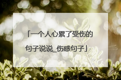 一个人心累了受伤的句子说说_伤感句子