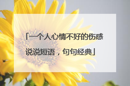 一个人心情不好的伤感说说短语，句句经典