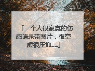 一个人很寂寞的伤感语录带图片,很空虚很压抑……