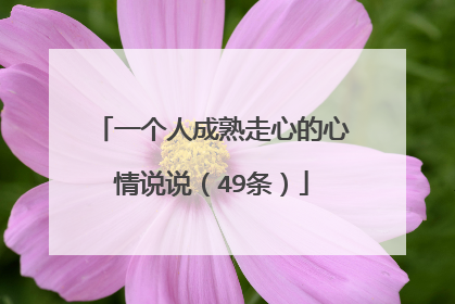 一个人成熟走心的心情说说（49条）