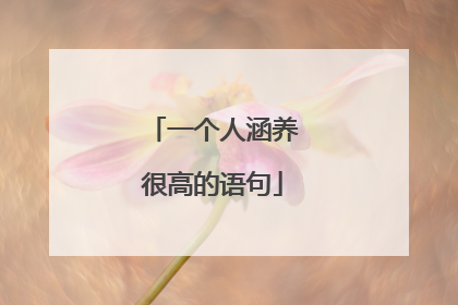 一个人涵养很高的语句