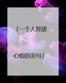 一个人释放心情的美句