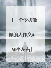 一个令我敬佩的人作文450字左右