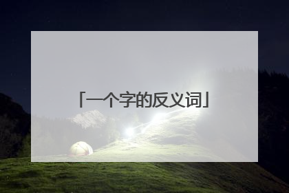 一个字的反义词