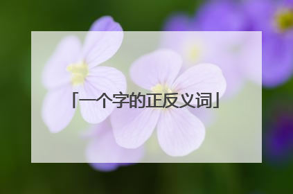 一个字的正反义词