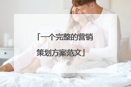 一个完整的营销策划方案范文