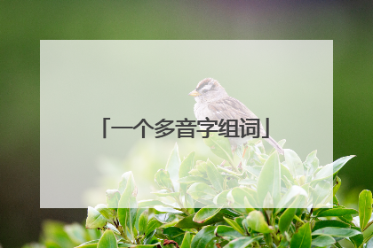 一个多音字组词