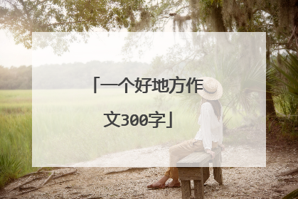一个好地方作文300字