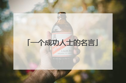 一个成功人士的名言